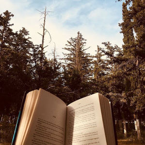 Meet your Posher, Kya